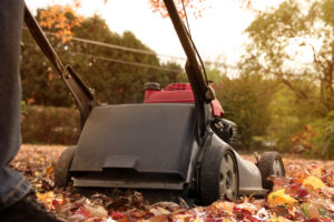 Man  collecting  old autumn leaves by Lawn Mover