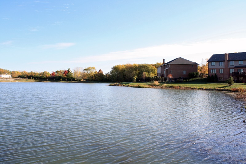 Shannon Estates in New Lenox is Nearing Completion New Construction Homes